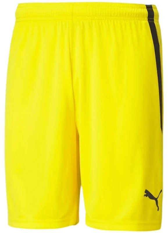 Puma teamLIGA M 704924 07 šortai