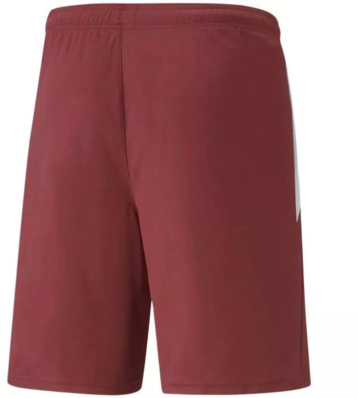 Puma teamLIGA M 704924 09 šortai