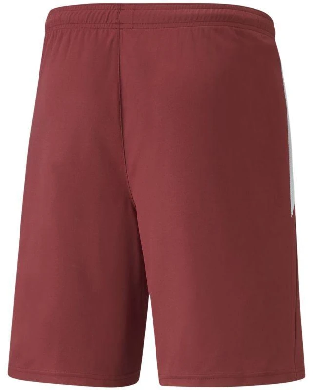 Puma teamLIGA M 704924 09 šortai