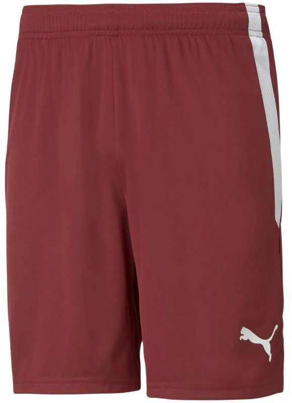 Puma teamLIGA M 704924 09 šortai
