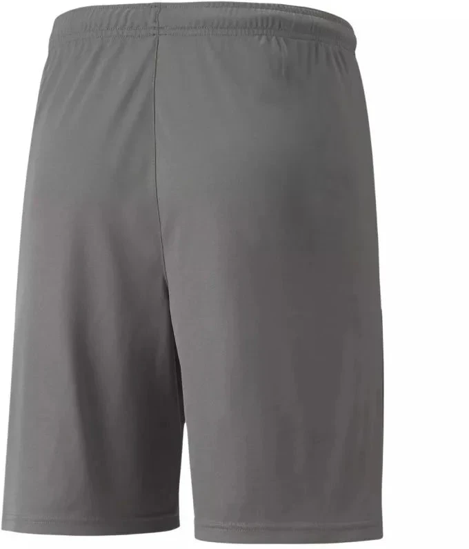 Puma teamLIGA M 704924 13 šortai