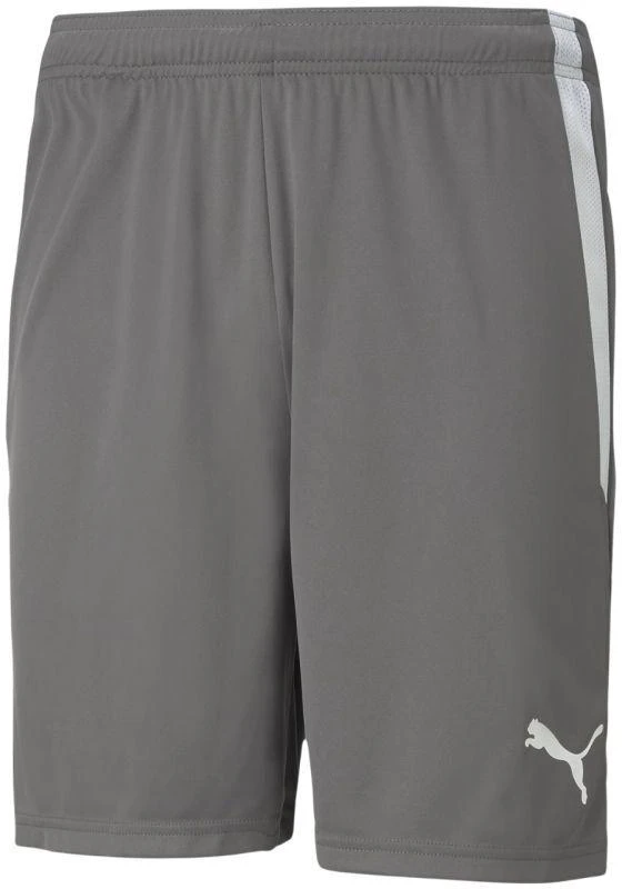 Puma teamLIGA M 704924 13 šortai