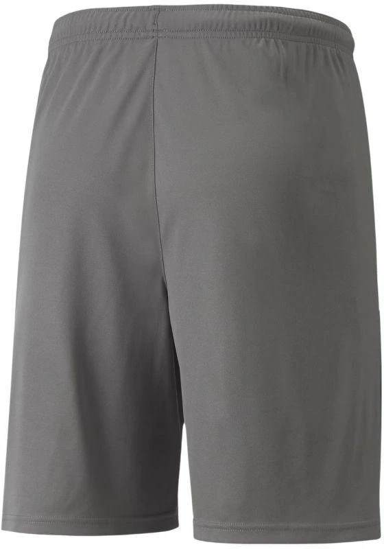 Puma teamLIGA M 704924 13 šortai