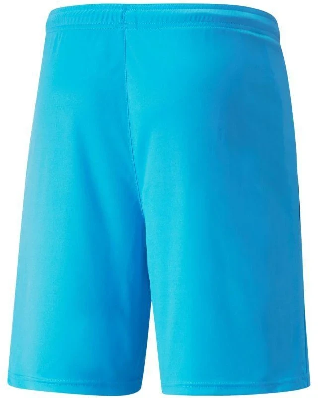 Puma teamLIGA M 704924 40 šortai