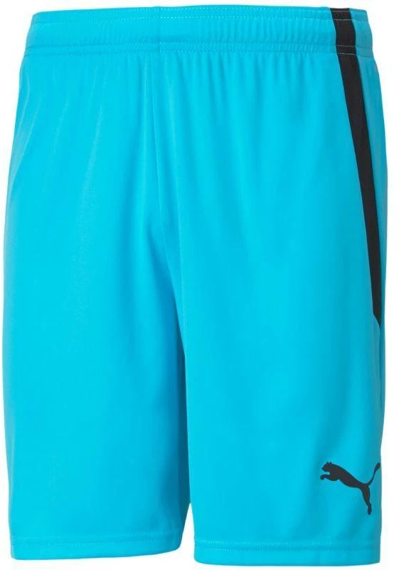 Puma teamLIGA M 704924 40 šortai