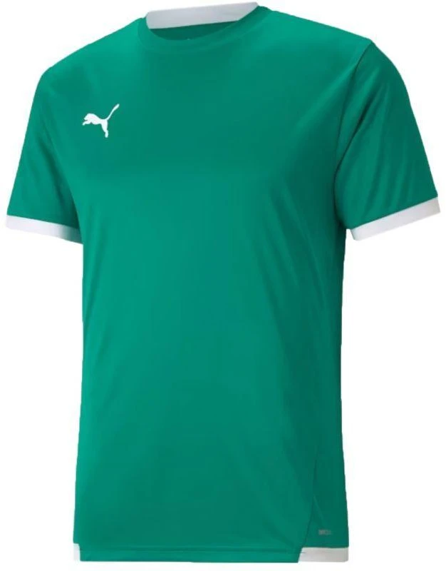 Puma teamLiga marškinėliai M 704917 05