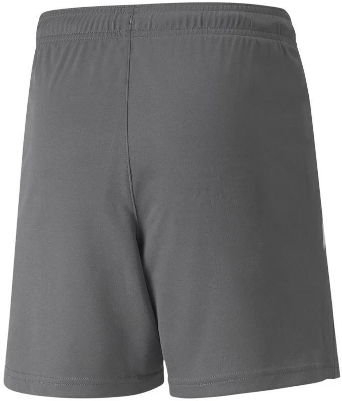 Puma teamLIGA Šortai Jauniems 704931 13