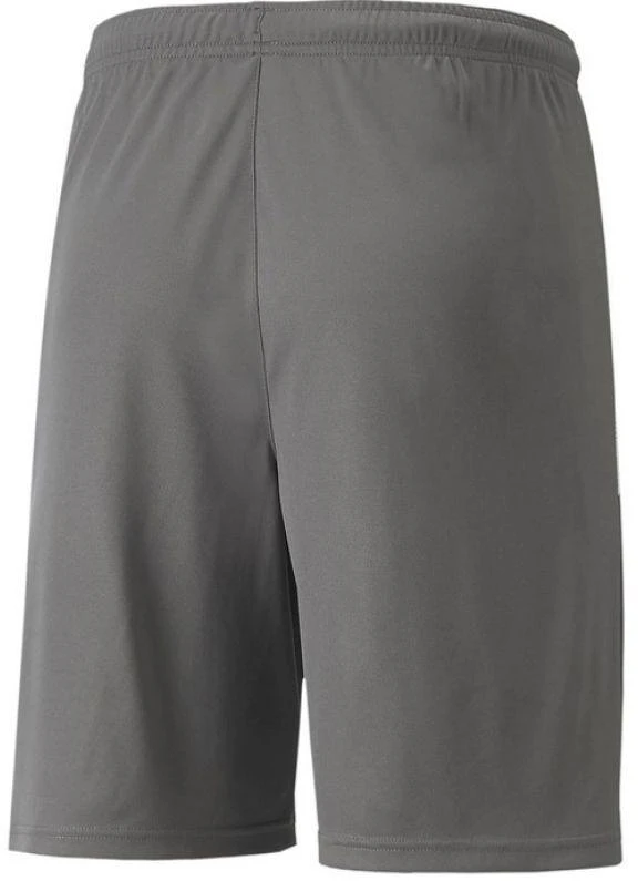 Puma teamLIGA Šortai Jauniems 704931 13