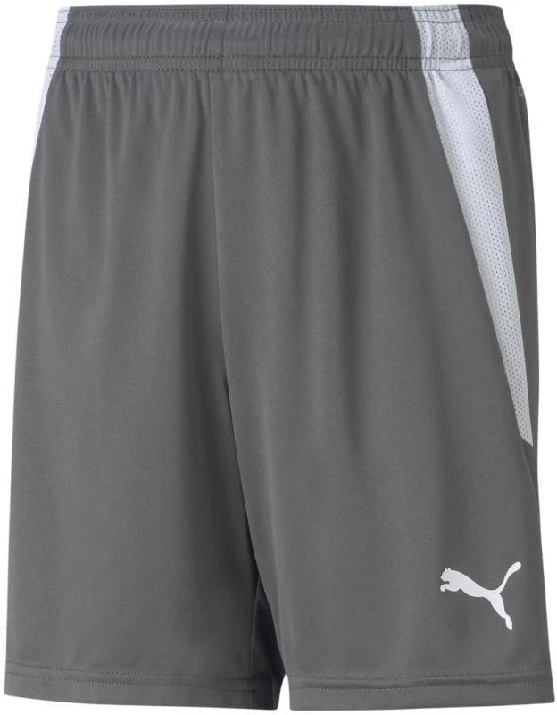 Puma teamLIGA Šortai Jauniems 704931 13
