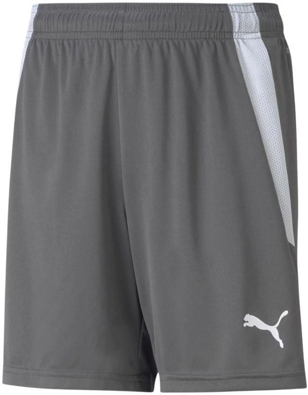 Puma teamLIGA Šortai Jauniems 704931 13