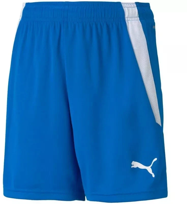 Puma teamLIGA Šortai Jr 704931 02