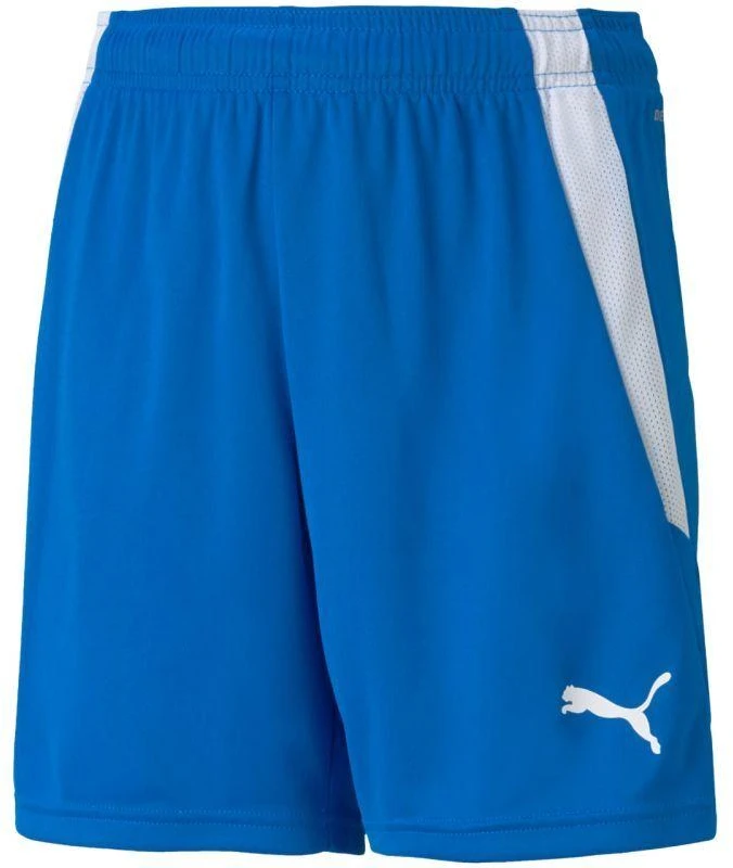 Puma teamLIGA Šortai Jr 704931 02