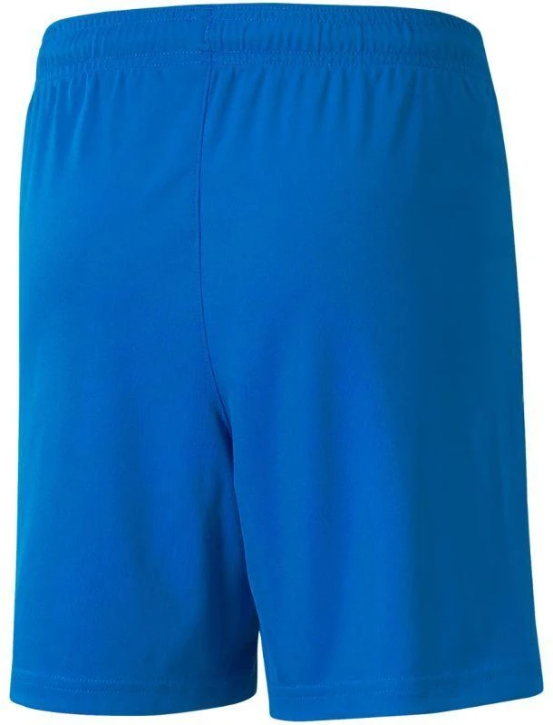 Puma teamLIGA Šortai Jr 704931 02
