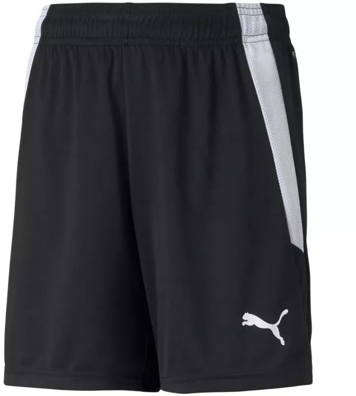 Puma teamLIGA Šortai Jr 704931 03