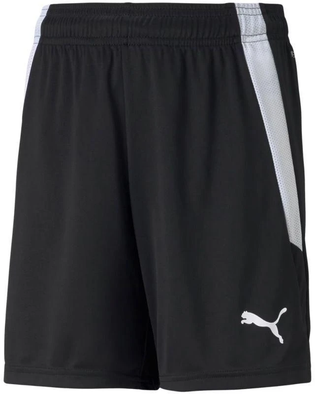 Puma teamLIGA Šortai Jr 704931 03