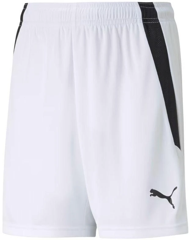 Puma teamLIGA Šortai Jr 704931 04