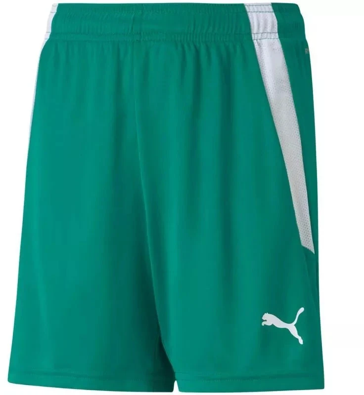 Puma teamLIGA Šortai Jr 704931 05