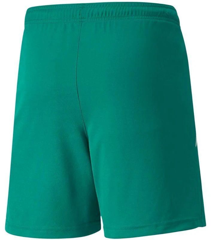 Puma teamLIGA Šortai Jr 704931 05
