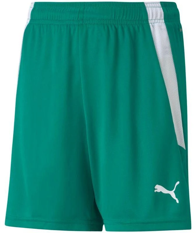 Puma teamLIGA Šortai Jr 704931 05
