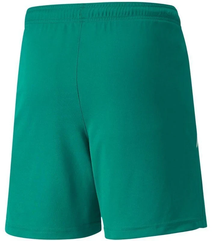 Puma teamLIGA Šortai Jr 704931 05