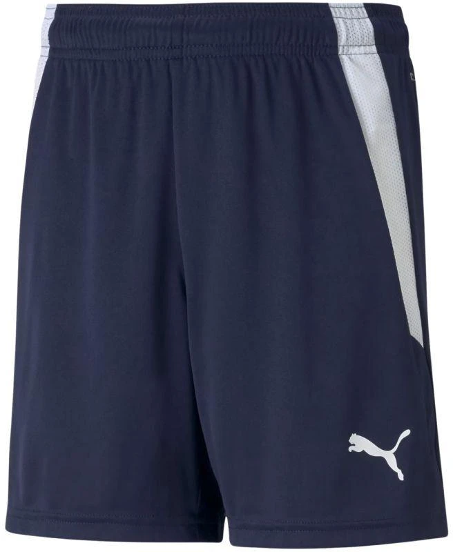 Puma teamLIGA Šortai Jr 704931 06