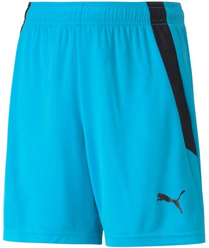 Puma teamLIGA Šortai Jr 704931 40