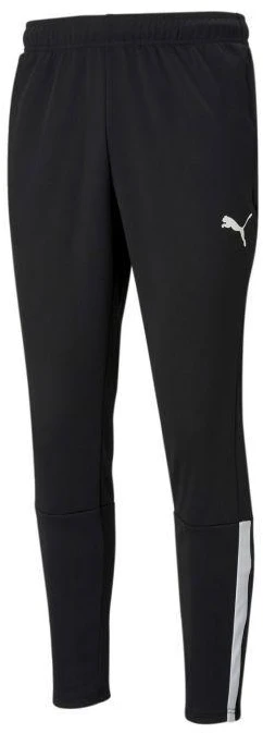 Puma teamLiga Training M 657242-03 kelnės