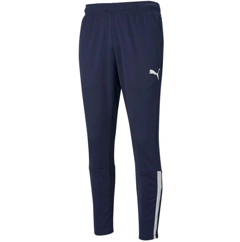 Puma teamLiga Treniruočių kelnės M 657242 06