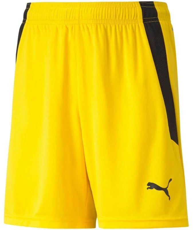 Puma teamLIGA Vaikiški Šortai 704931 07