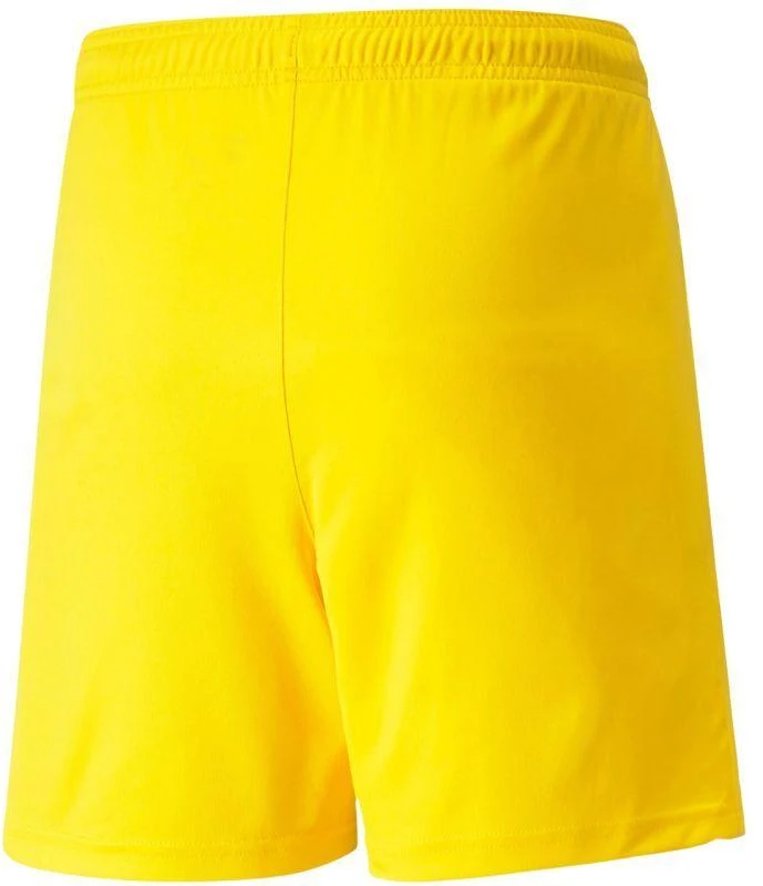 Puma teamLIGA Vaikiški Šortai 704931 07