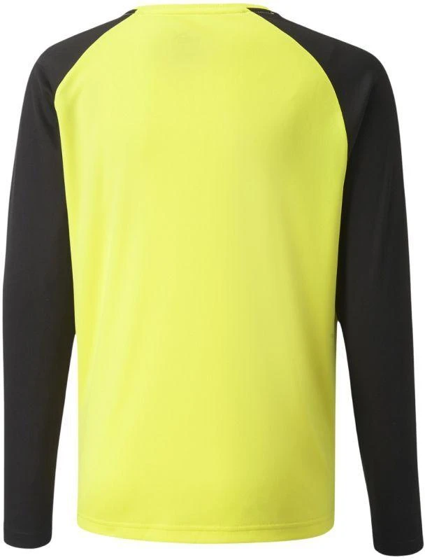 Puma teamPacer GK LS Jersey Jr 704939 42