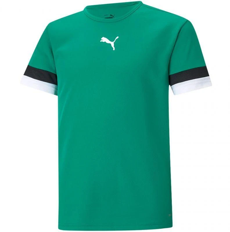Puma teamRise Marškinėliai Jr 704938 05