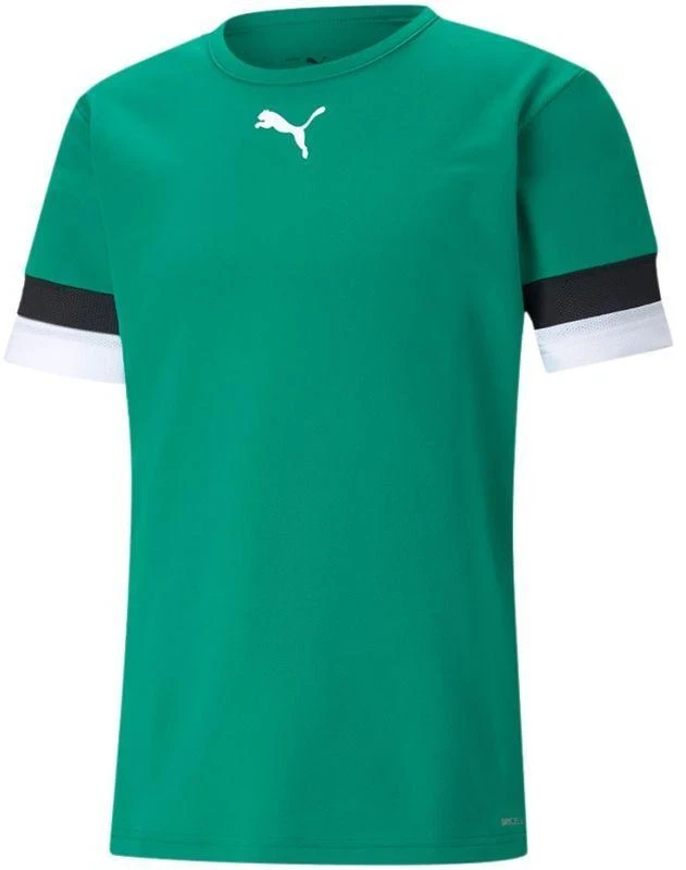 Puma teamRise marškinėliai M 704932 05