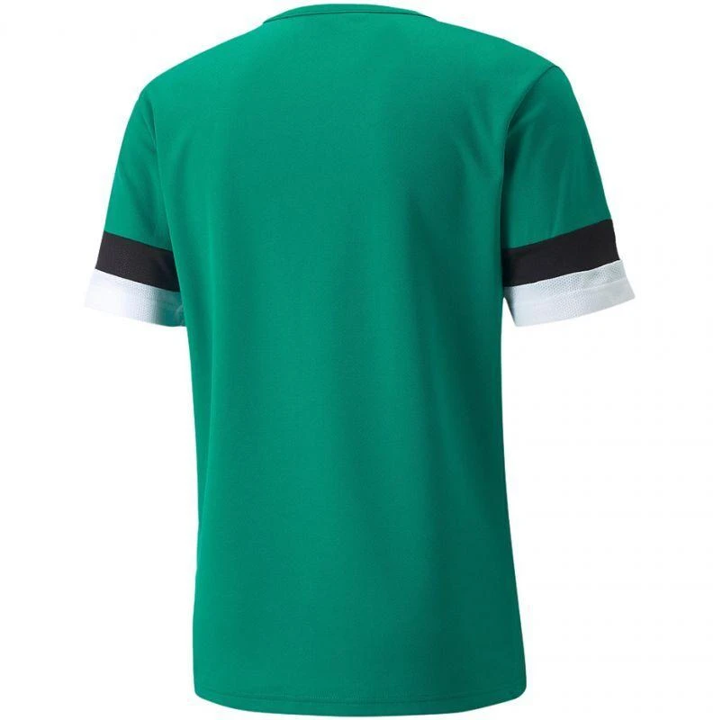 Puma teamRise marškinėliai M 704932 05