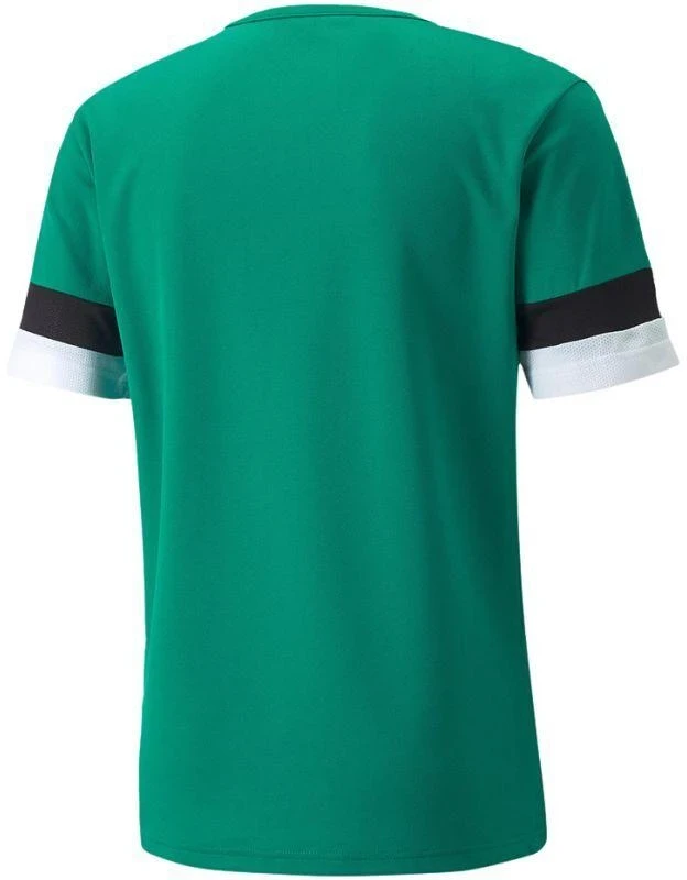 Puma teamRise marškinėliai M 704932 05