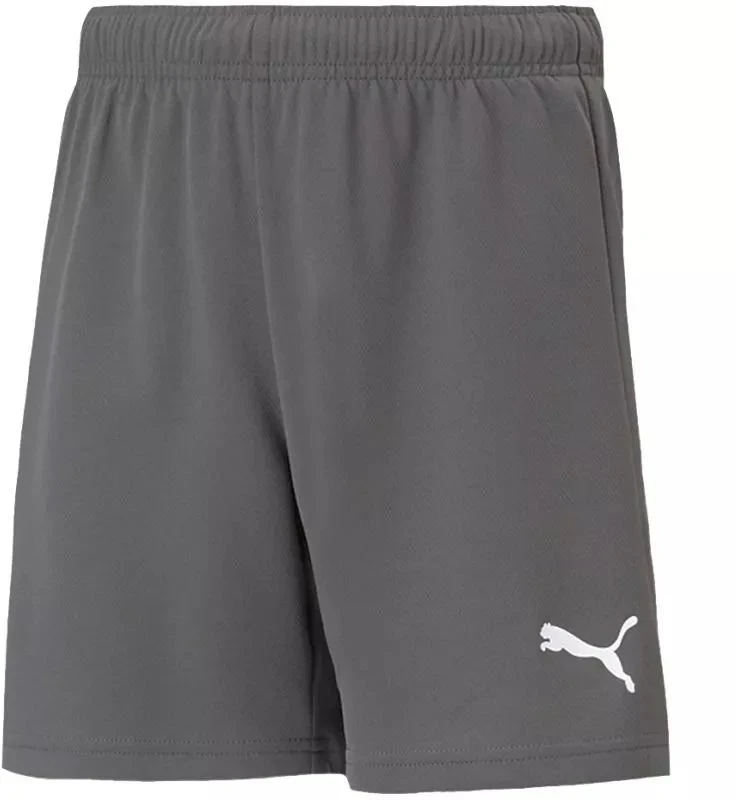 Puma teamRise Šortai Jaun. 704943 13