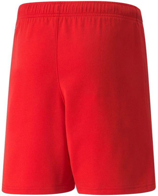 Puma teamRISE šortai, jauniams (modelis 704943 01)