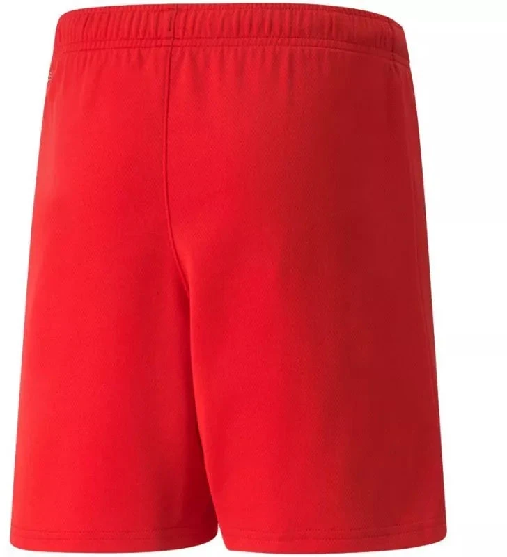 Puma teamRISE šortai, jauniams (modelis 704943 01)
