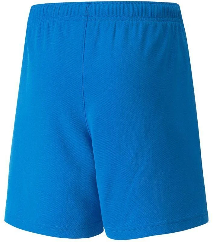 Puma teamRISE šortai, jaunimo, 704943 02