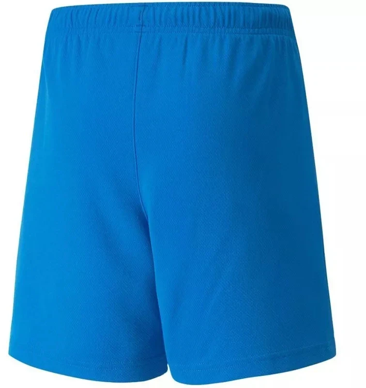 Puma teamRISE šortai, jaunimo, 704943 02