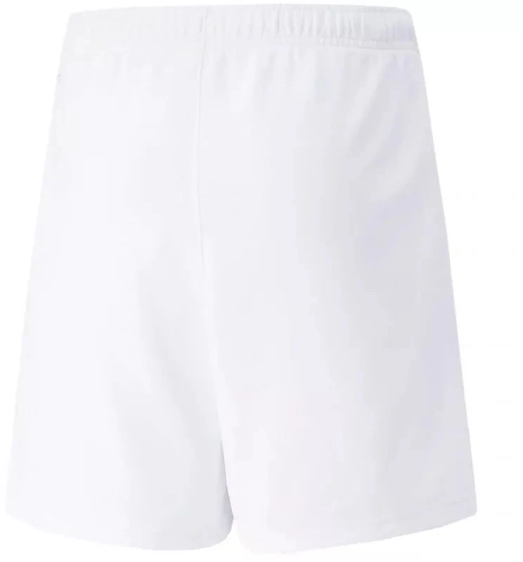 Puma teamRISE Šortai Jr 704943 03