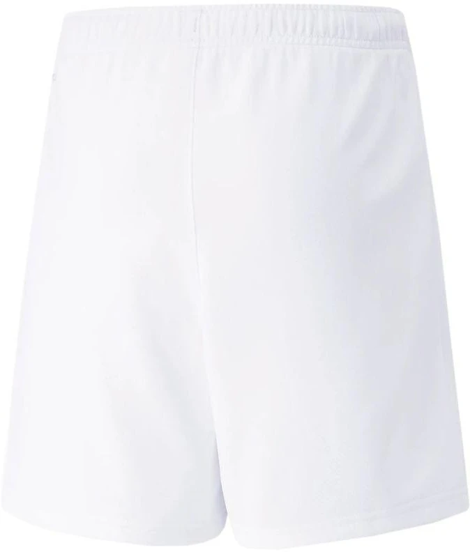 Puma teamRISE Šortai Jr 704943 03