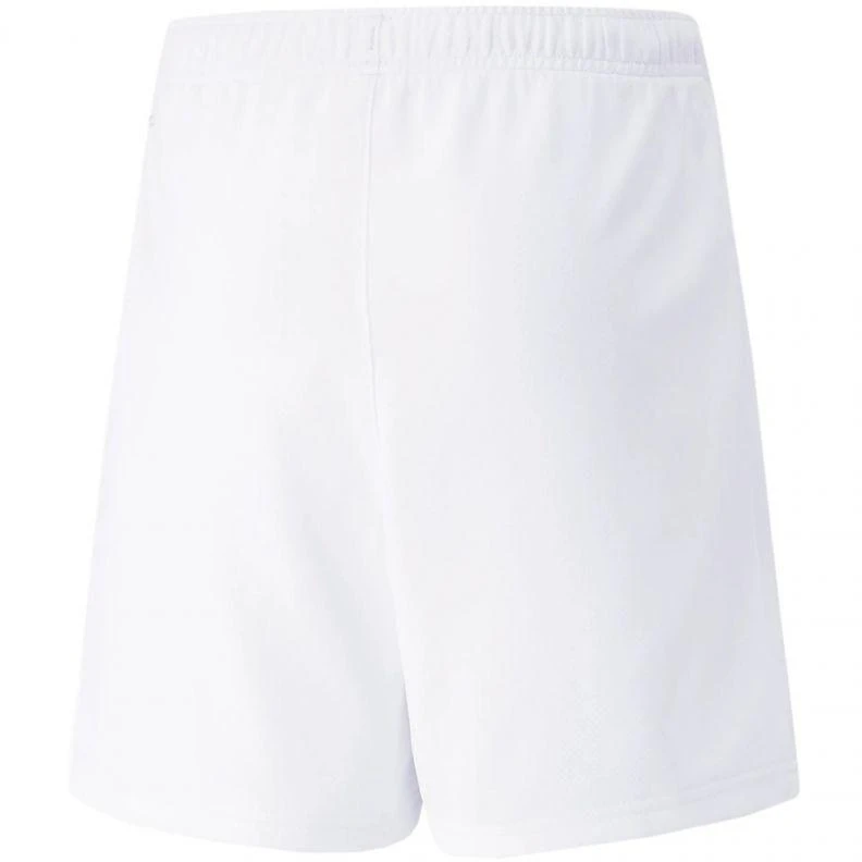 Puma teamRISE Šortai Jr 704943 03