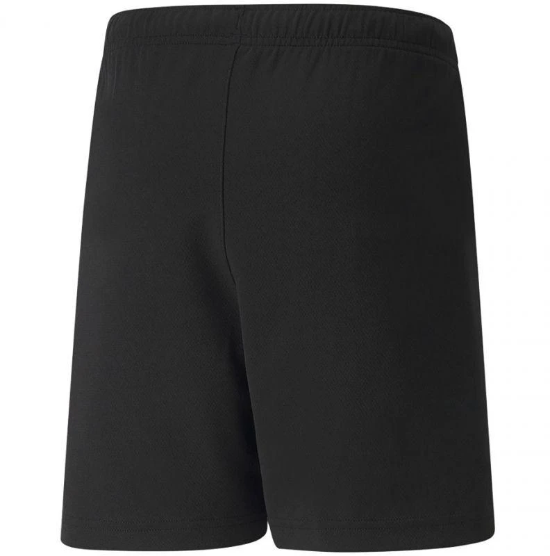 Puma teamRISE Šortai Jr 704943 04