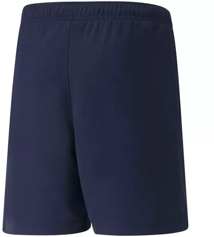 Puma teamRISE Šortai Jr 704943 06