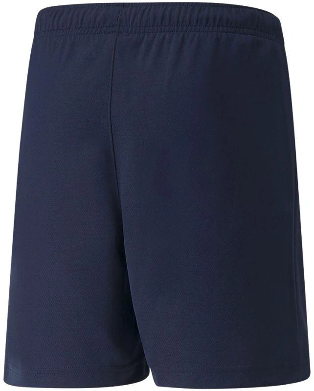 Puma teamRISE Šortai Jr 704943 06