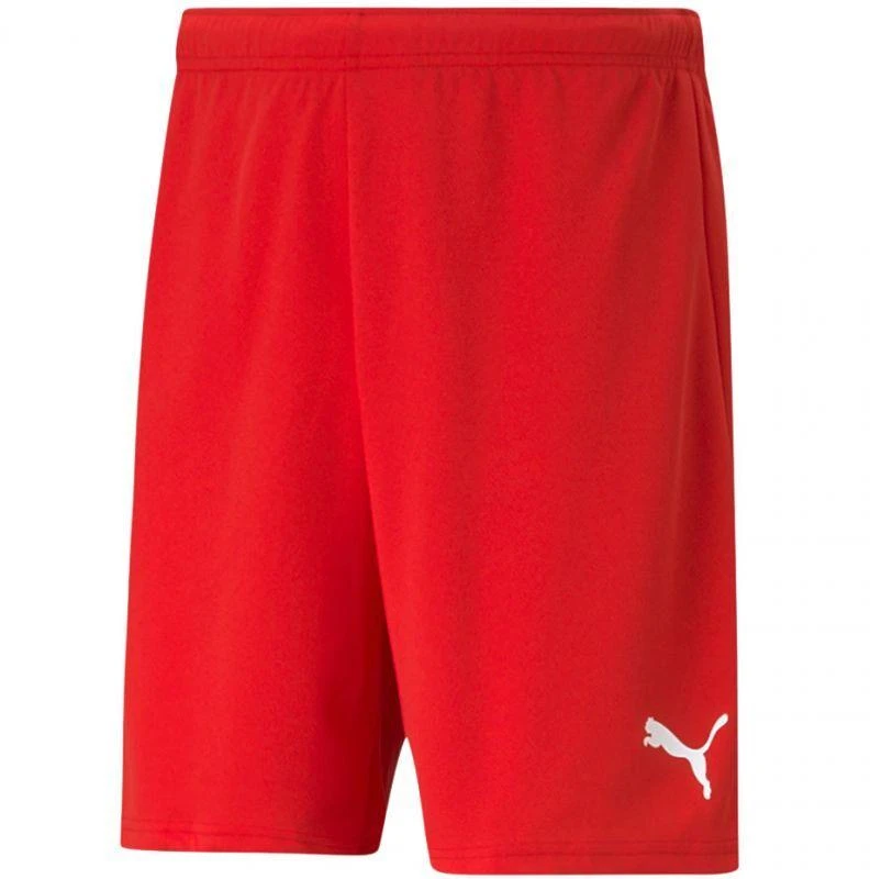 Puma teamRISE šortai M 704942 01