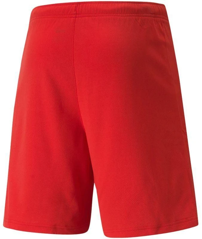 Puma teamRISE šortai M 704942 01