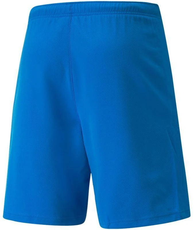 Puma teamRISE Šortai M 704942 02