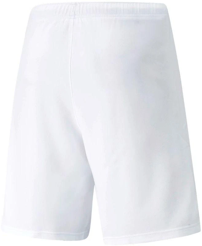 Puma teamRISE Šortai M 704942 03
